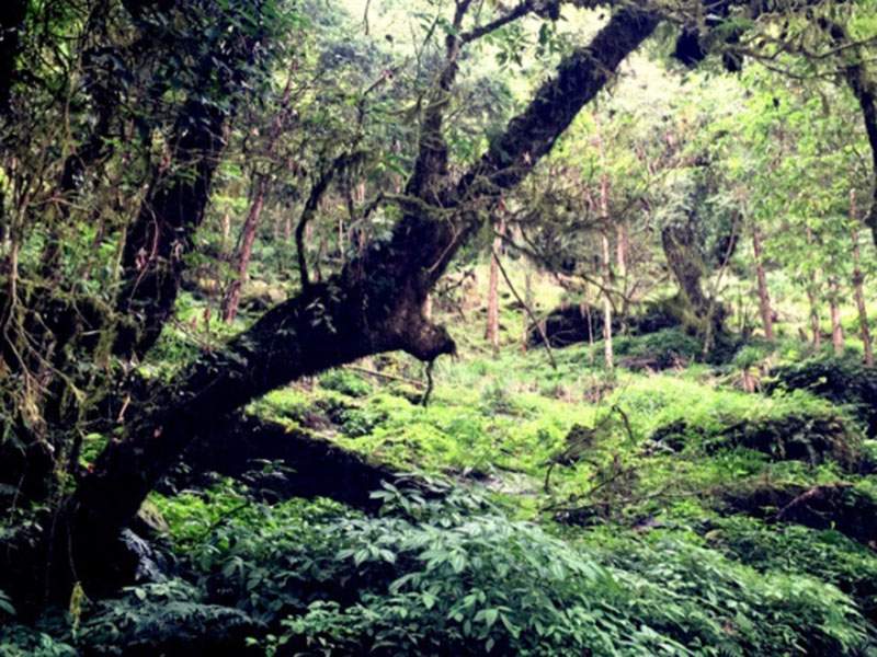 2016年 員工旅遊